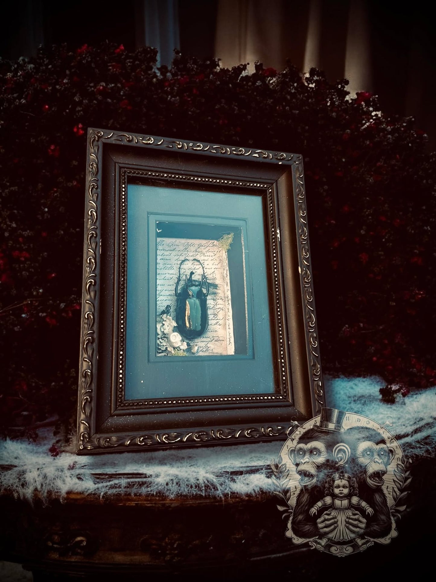 Atlas Beetle Chalcosoma Atlas Huge Beetle Shadow Box Display Taxidermy Home Decor Preserved Whimsical Oddity Oddities Curiosities Gift Idea