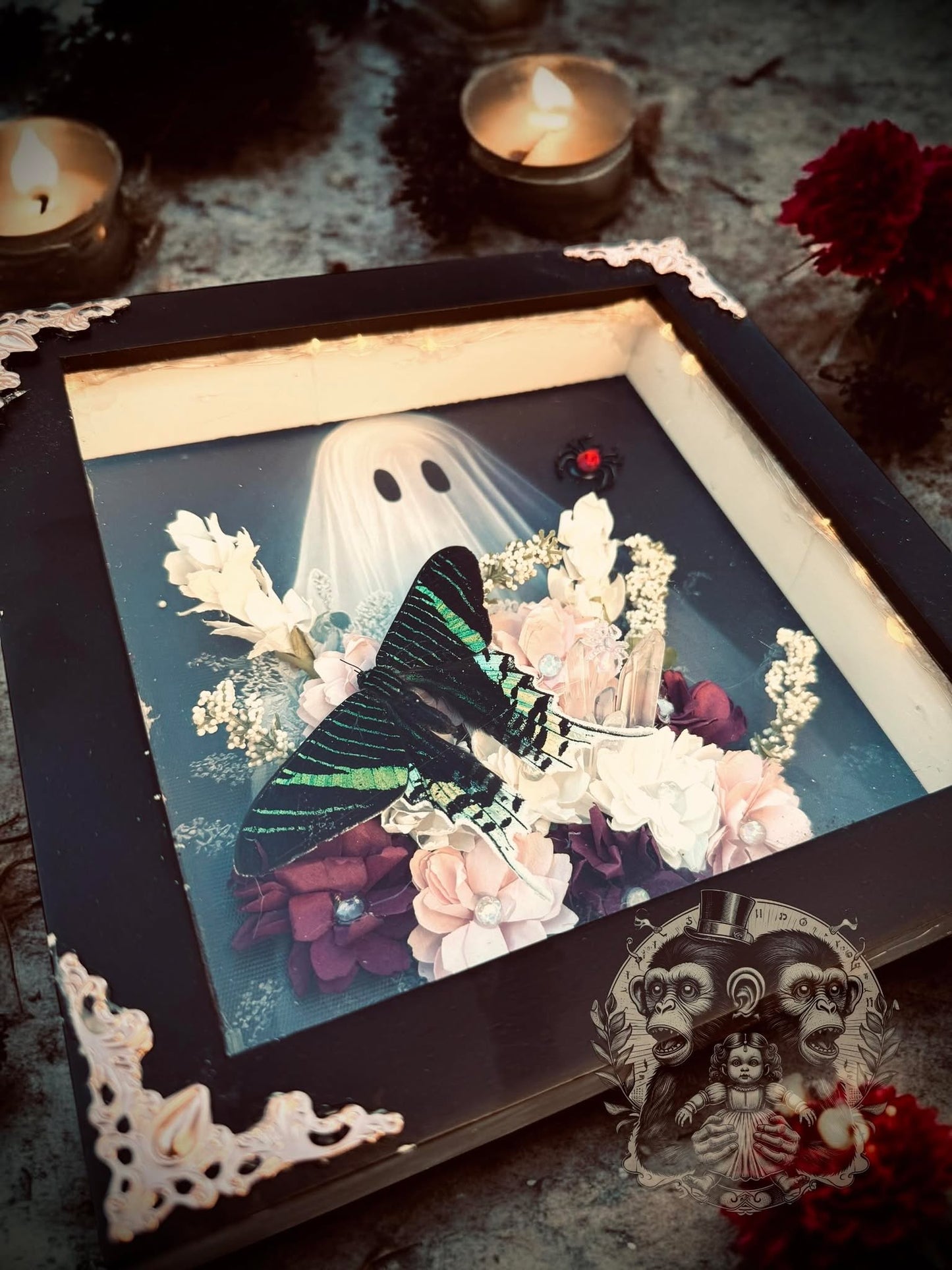 Urania Butterfly Ghostly Ghost Lighted Shadow Box Display Taxidermy Home Decor Preserved Whimsical Oddity Oddities Curiosities Gift Idea