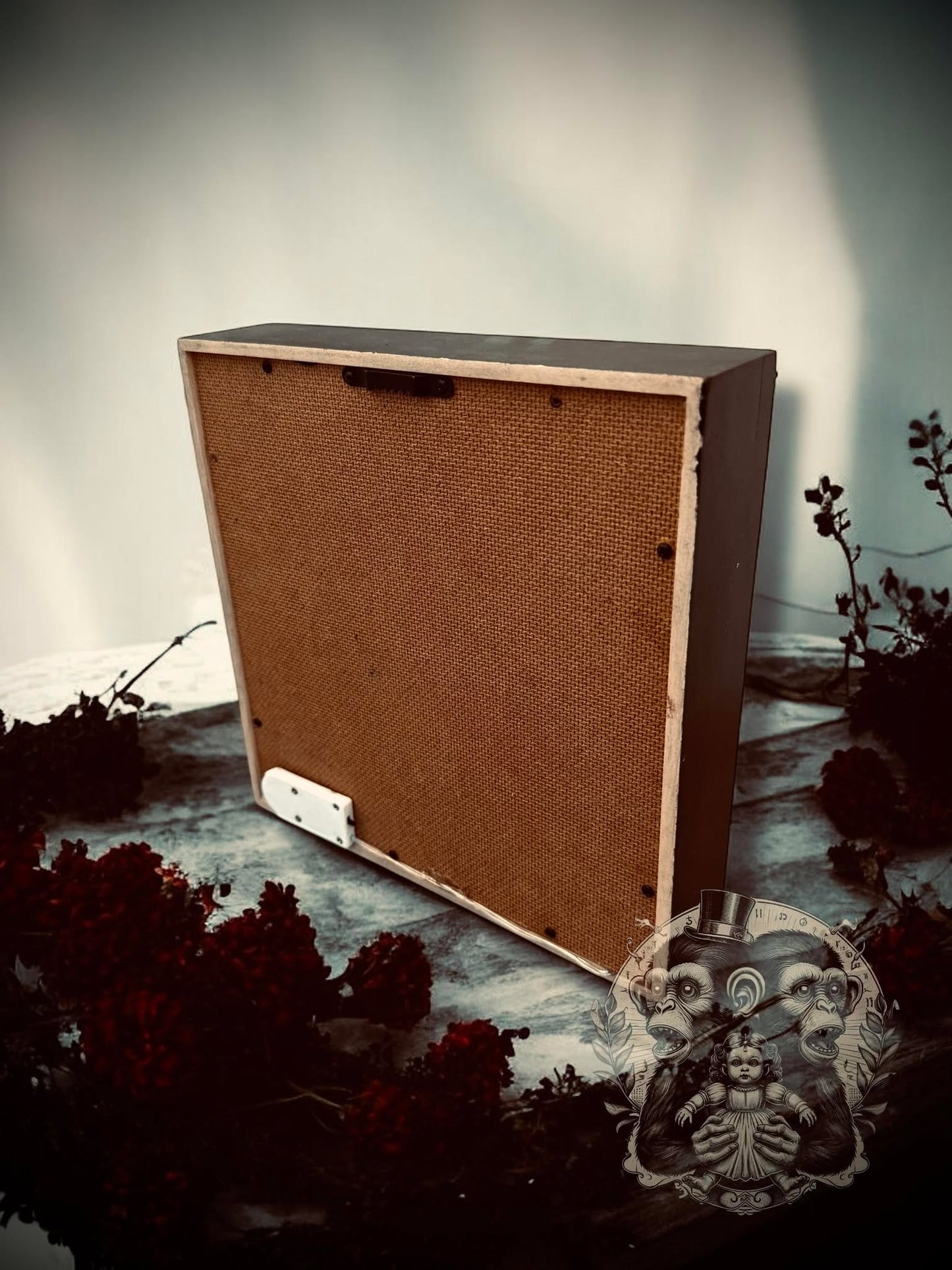 Urania Butterfly Ghostly Ghost Lighted Shadow Box Display Taxidermy Home Decor Preserved Whimsical Oddity Oddities Curiosities Gift Idea