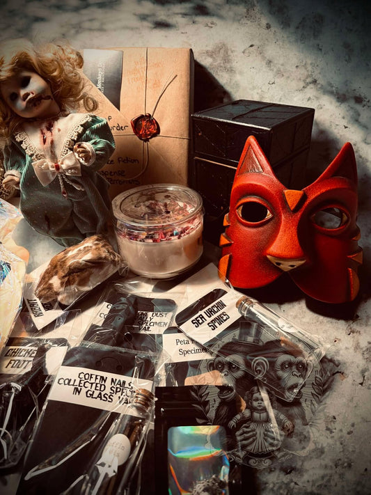 Valetine Oddity Witch Wooden Box Trinket Oddity Box Haunted Doll Mystery Curiosity, Unique Gift Idea, Creepy Unusual Mummified Specimen #313