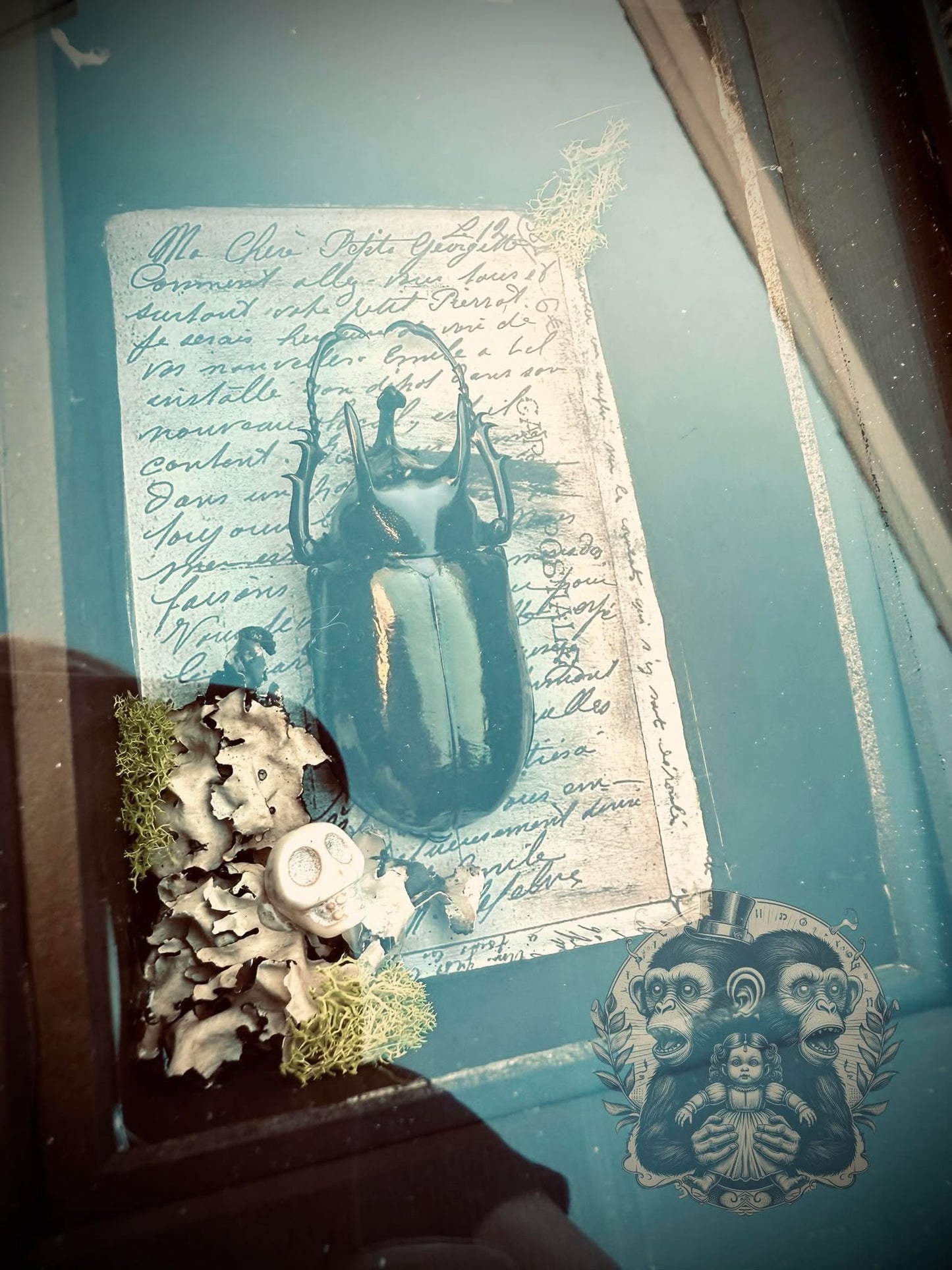 Atlas Beetle Chalcosoma Atlas Huge Beetle Shadow Box Display Taxidermy Home Decor Preserved Whimsical Oddity Oddities Curiosities Gift Idea