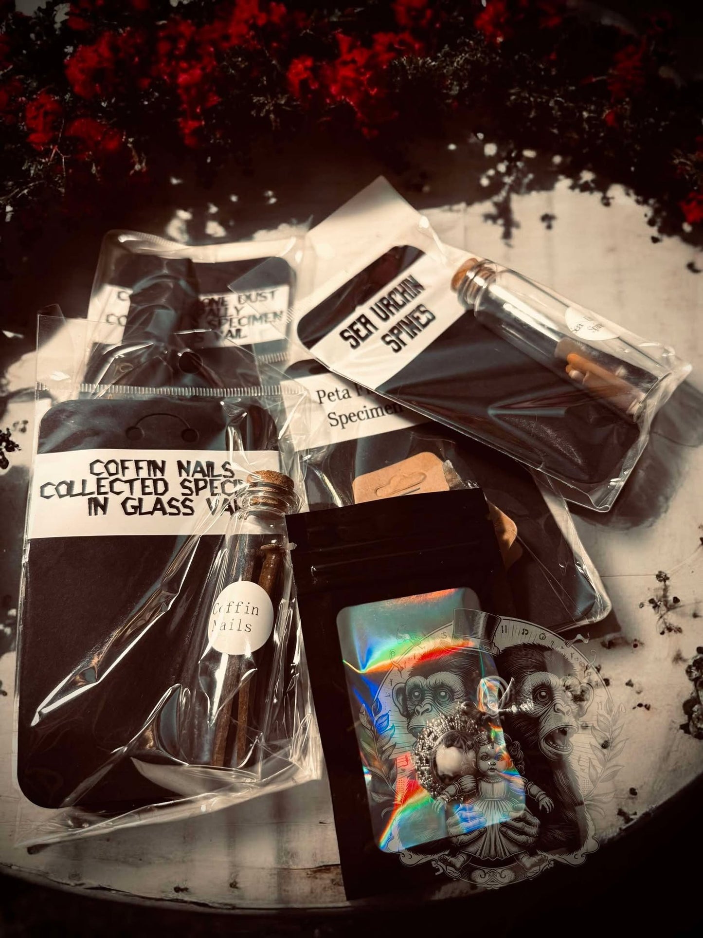 Valetine Oddity Witch Wooden Box Trinket Oddity Box Haunted Doll Mystery Curiosity, Unique Gift Idea, Creepy Unusual Mummified Specimen #313