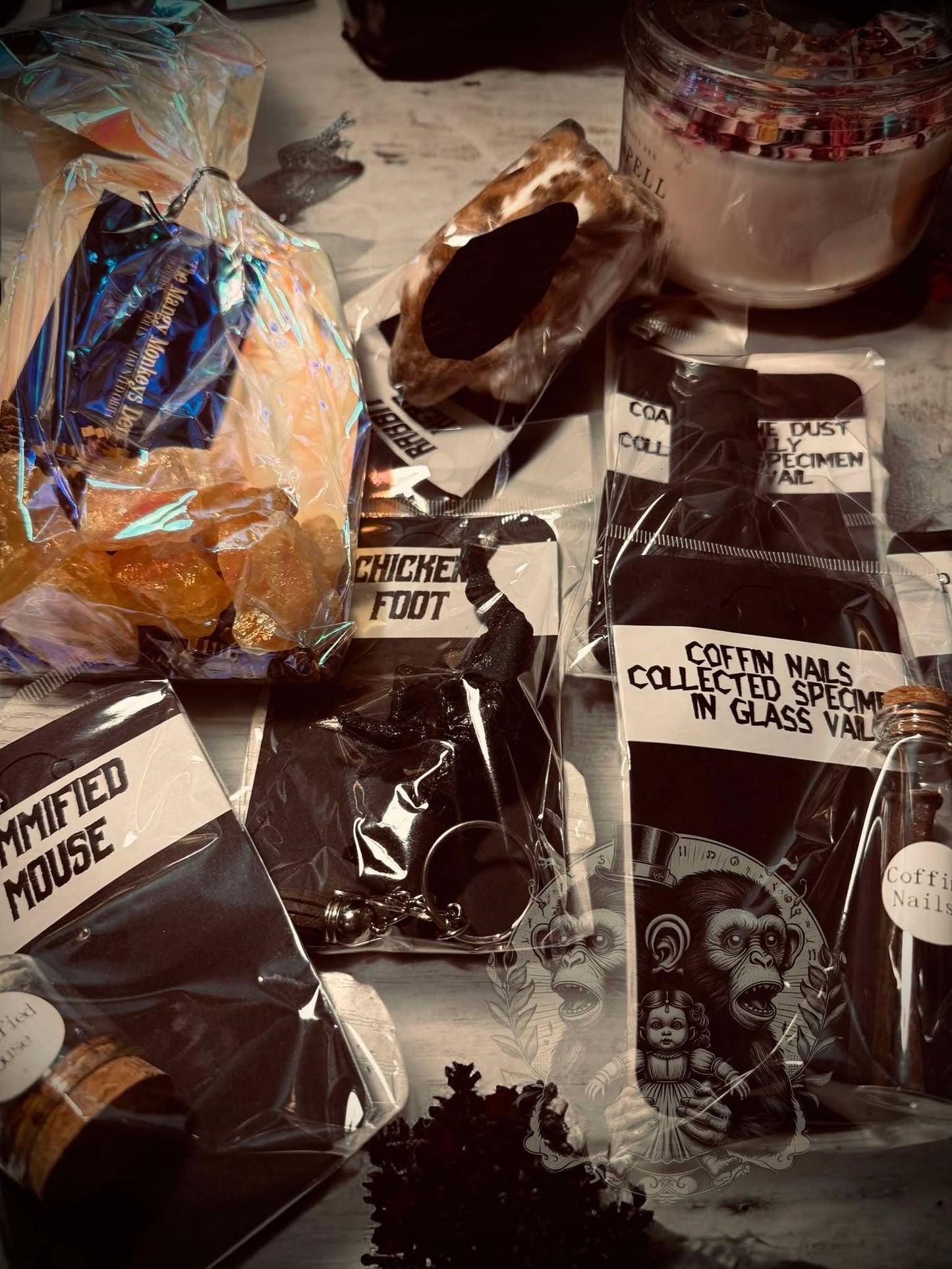 Valetine Oddity Witch Wooden Box Trinket Oddity Box Haunted Doll Mystery Curiosity, Unique Gift Idea, Creepy Unusual Mummified Specimen #313