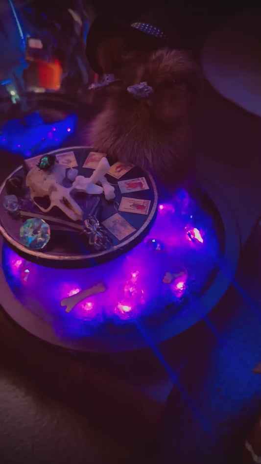 2 Headed Duckling Witch Tarot Card Reading Taxidermy, Gift Idea, Oddity, Oddities, Occult Curiosities Bizarre Biology Specimen Crystal Ball