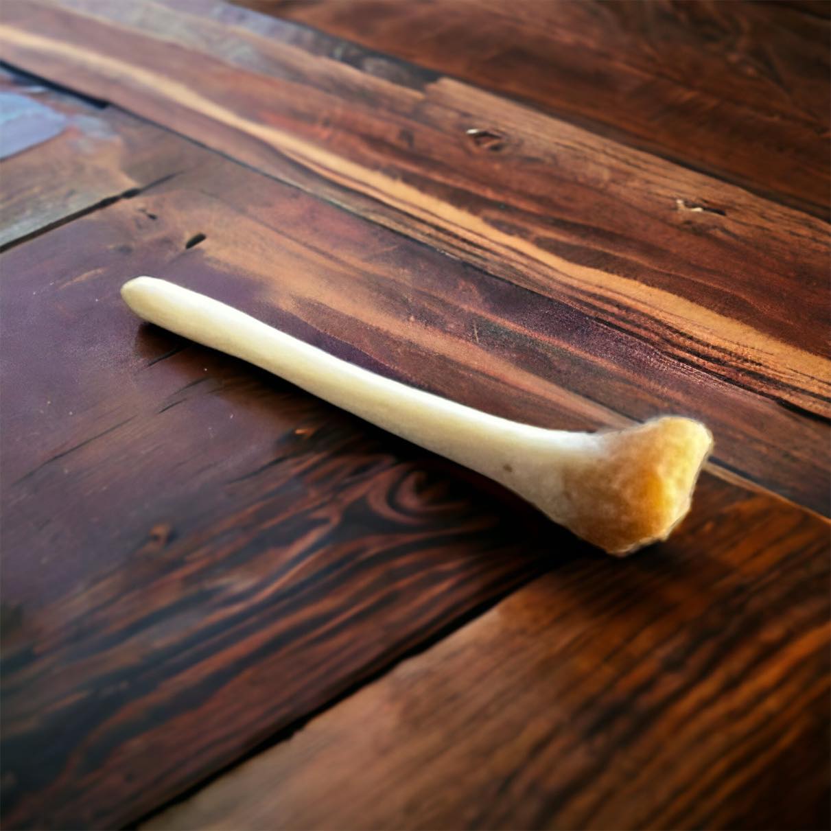 Real Ethically Sourced Beaver Penis Baculum 1.25" Cleaned Whitened Oddities Crafting Collector Bone