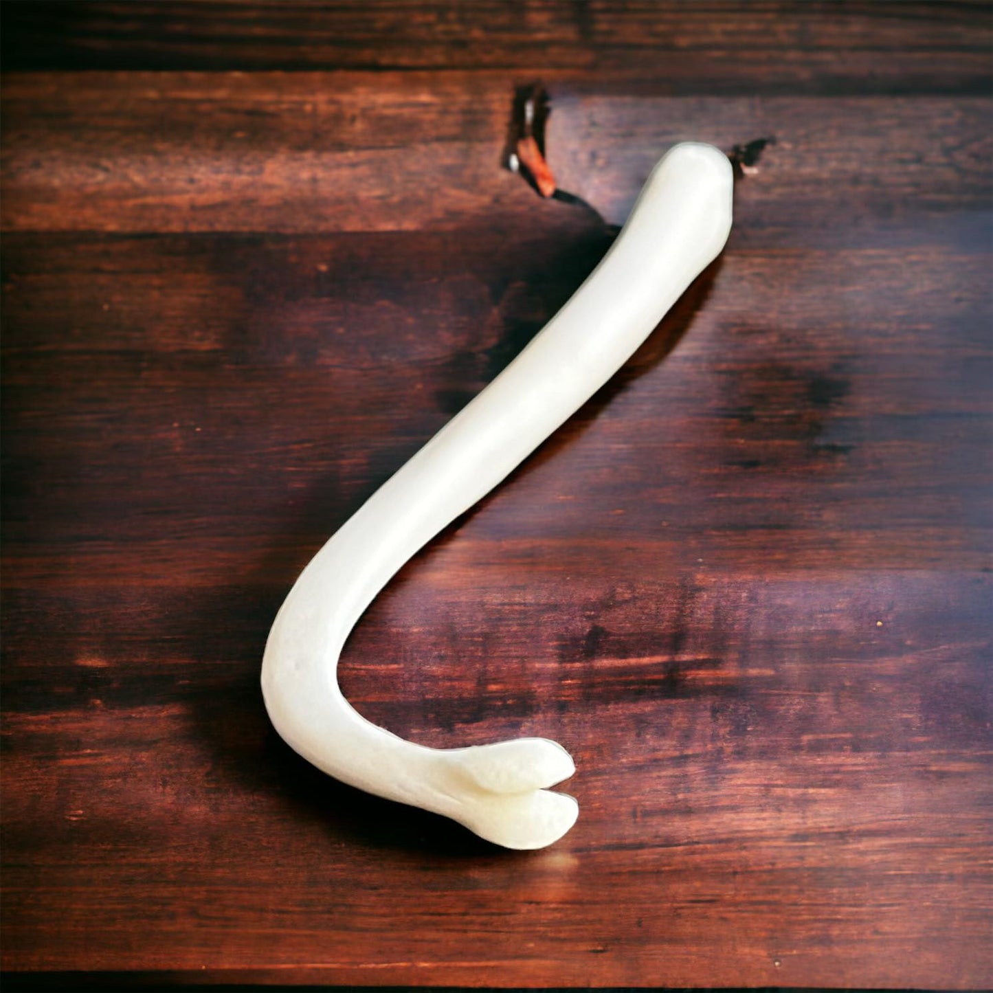 Real Ethically Sourced Raccoon Penis Baculum 3.75" Cleaned Whitened Oddities Crafting Collector Bone