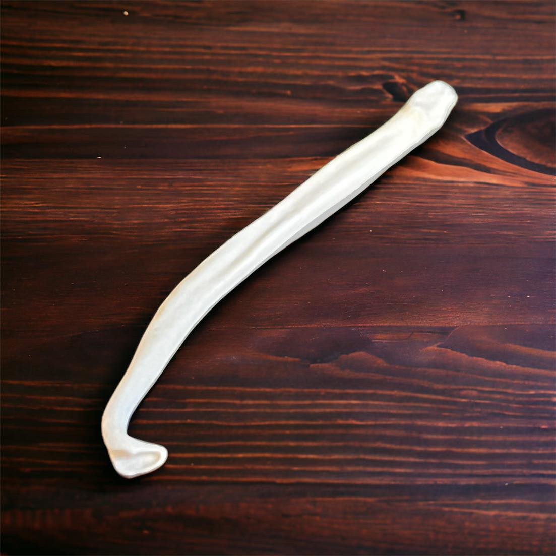 Real Ethically Sourced American Mink Penis Baculum 1.75" Cleaned Whitened Oddities Crafting Collector Bone