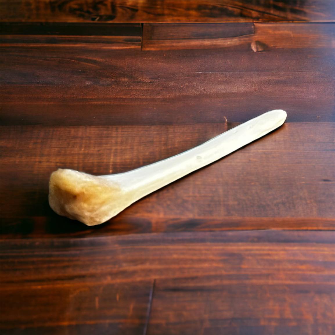 Real Ethically Sourced Beaver Penis Baculum 1.25" Cleaned Whitened Oddities Crafting Collector Bone