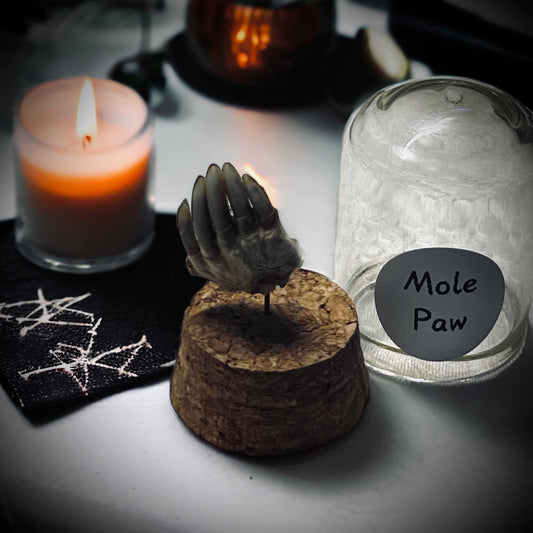 Mole's Paw Specimen in Glass Vail Gothic Voodoo Witchcraft Curiosity, Oddity, Real Animal, Apothecary, Unique Gift Idea, Taxidermy