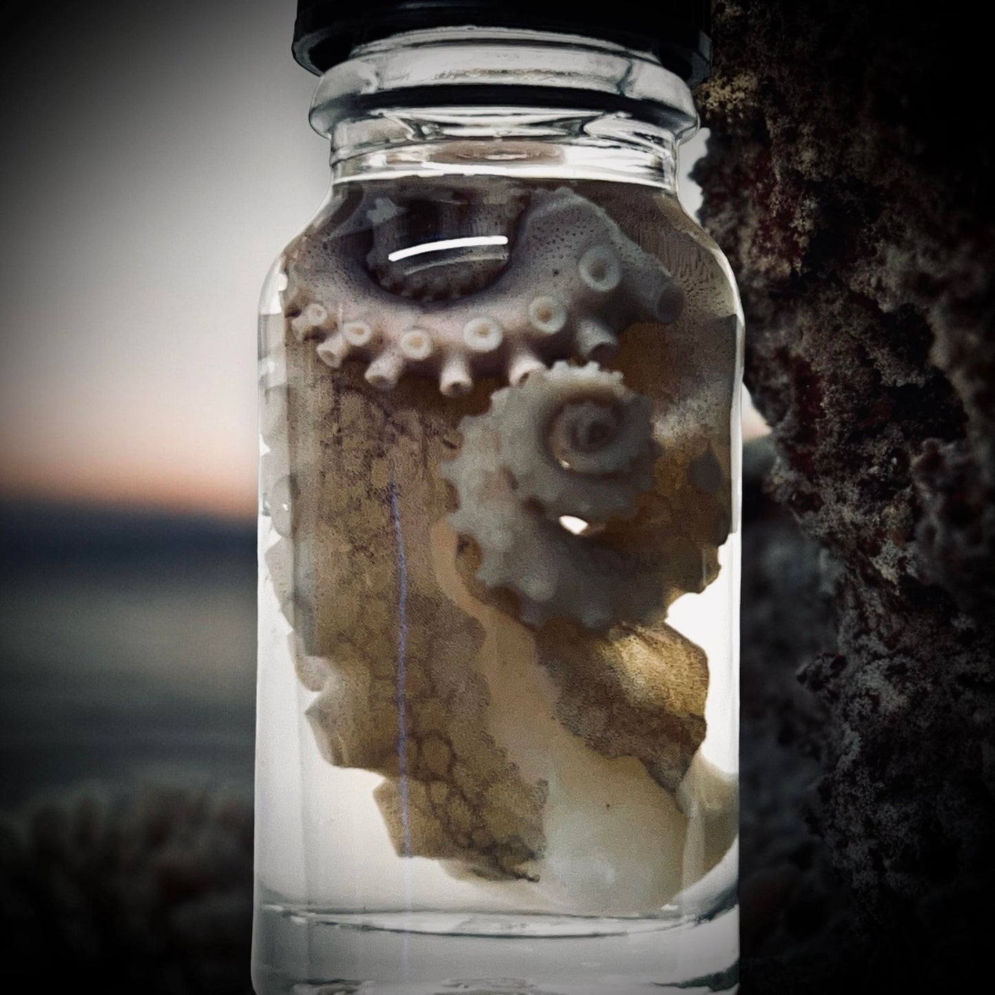 Wet Specimen Octopus Tentacles Unique Gift Idea Witchcraft Occult Oddity Apothecary Bottle Real Wet Specimen Taxidermy Curiosity Bottle