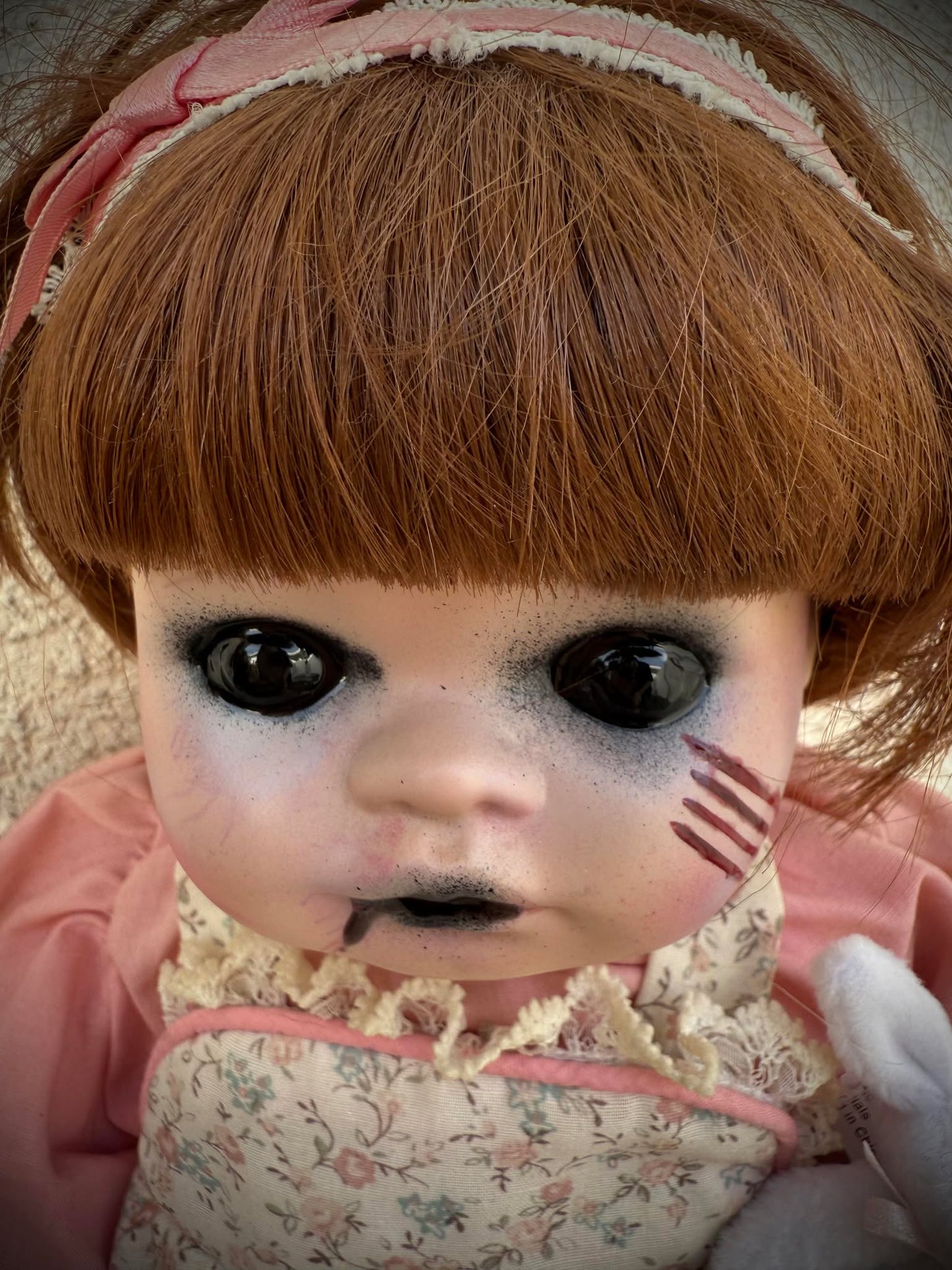 Meet Amy 14" Doll Porcelain Creepy Haunted Spirit Supernatural Possessed Positive Oddity Occult Paranormal Gift Idea Specimen 1244