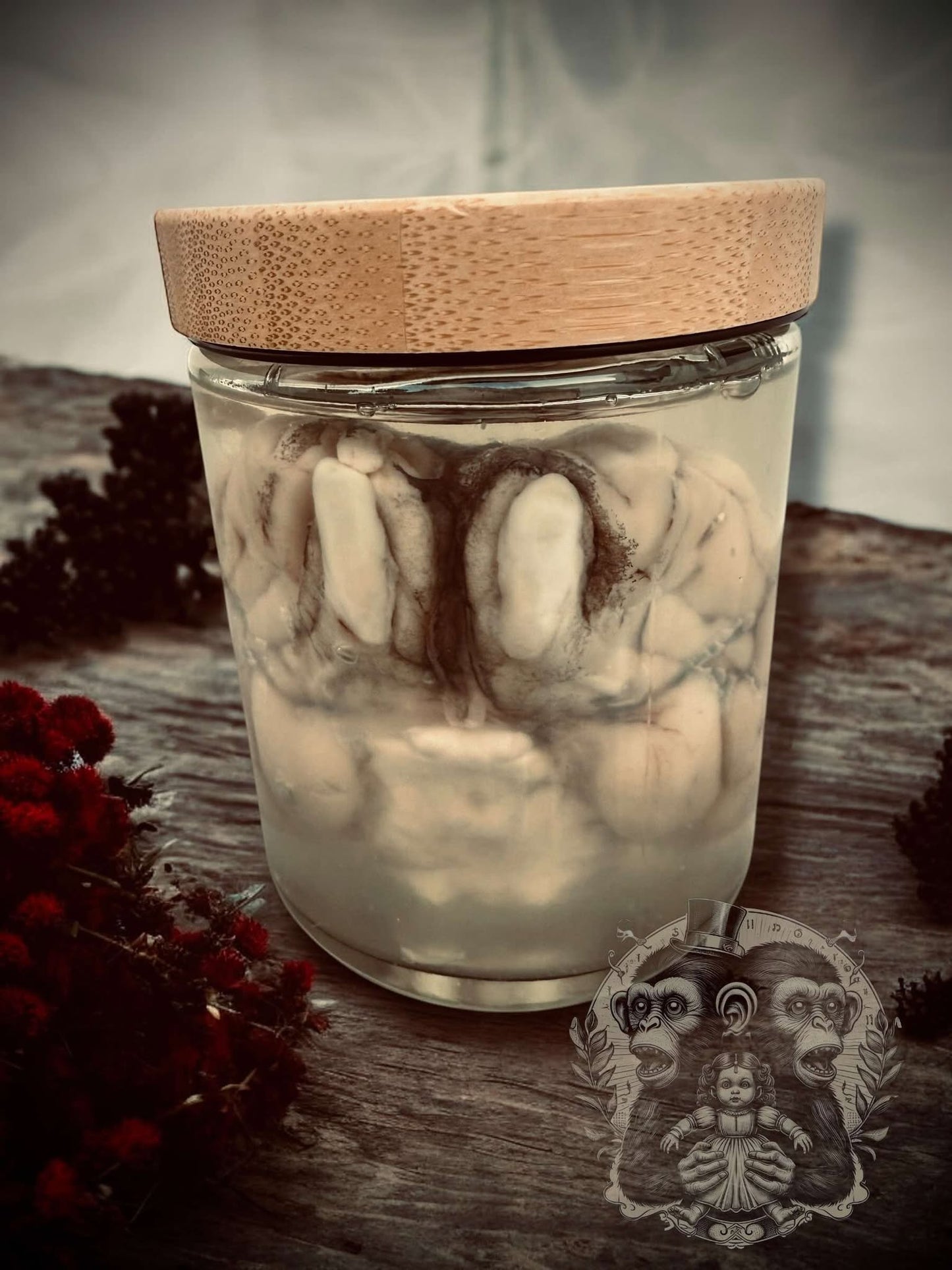 Sheep Brain Jar Wet Specimen Unique Gift Idea Witchcraft Occult Oddity Apothecary Bottle Real Glass Vial Taxidermy Curiosity