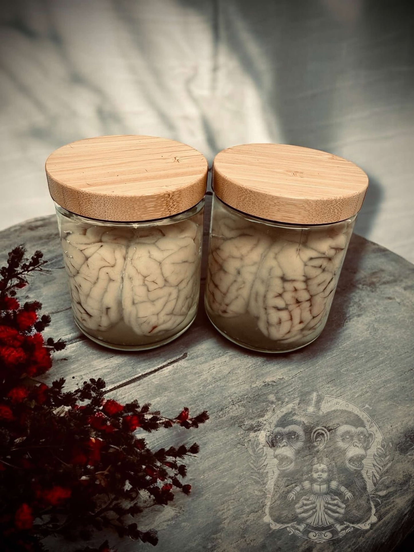 Sheep Brain Jar Wet Specimen Unique Gift Idea Witchcraft Occult Oddity Apothecary Bottle Real Glass Vial Taxidermy Curiosity