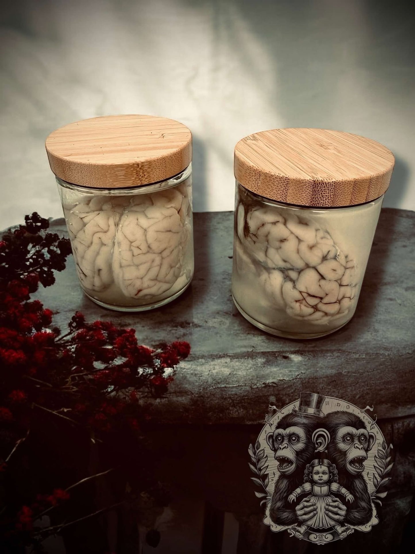 Sheep Brain Jar Wet Specimen Unique Gift Idea Witchcraft Occult Oddity Apothecary Bottle Real Glass Vial Taxidermy Curiosity