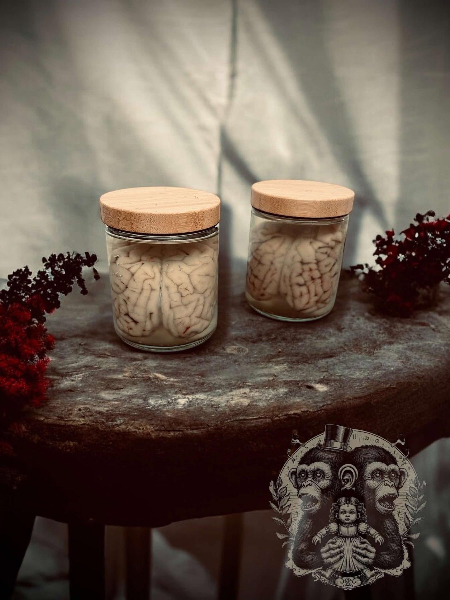 Sheep Brain Jar Wet Specimen Unique Gift Idea Witchcraft Occult Oddity Apothecary Bottle Real Glass Vial Taxidermy Curiosity