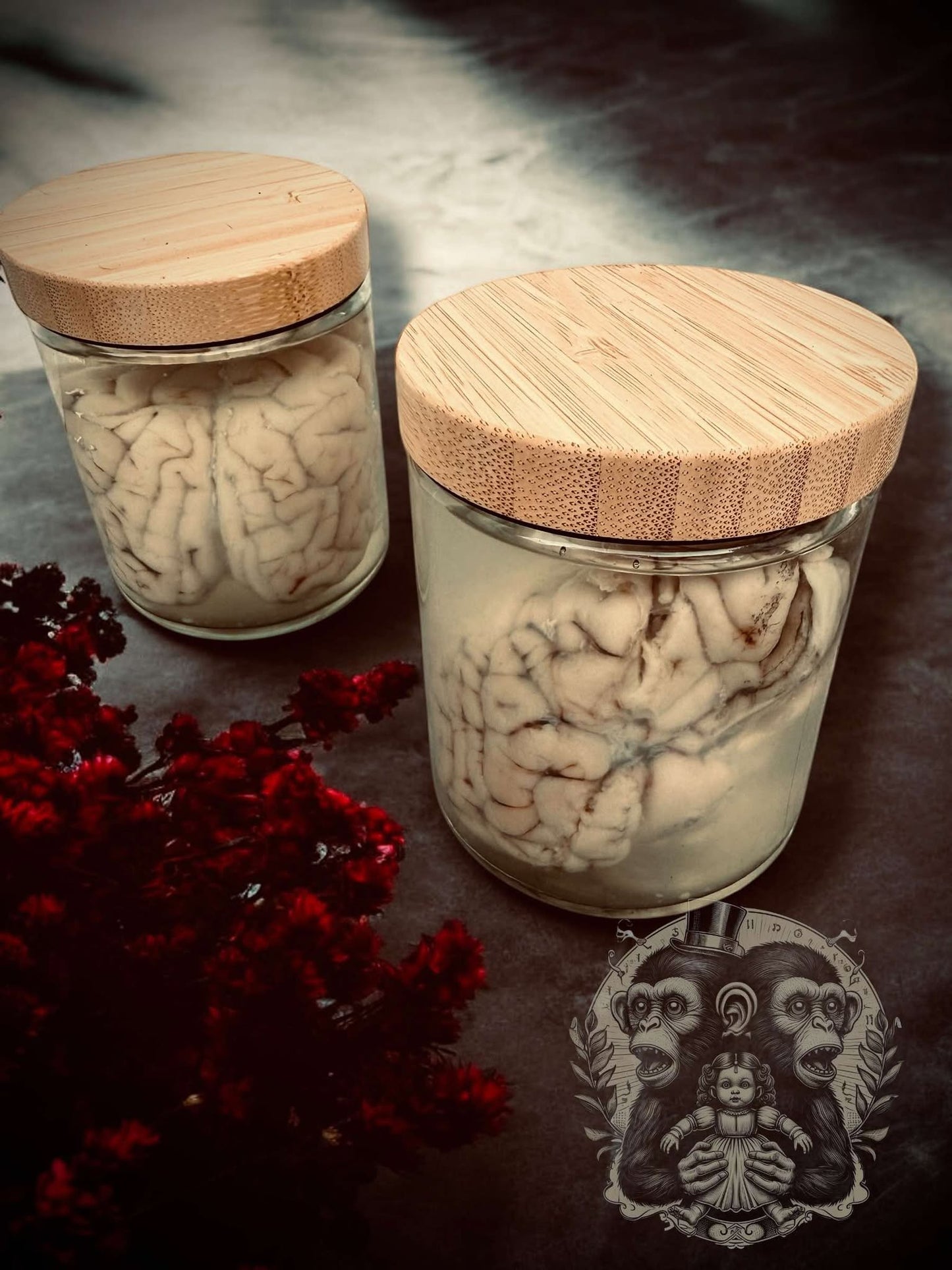 Sheep Brain Jar Wet Specimen Unique Gift Idea Witchcraft Occult Oddity Apothecary Bottle Real Glass Vial Taxidermy Curiosity