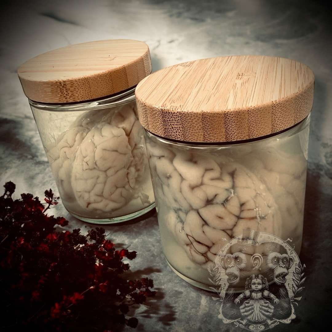 Sheep Brain Jar Wet Specimen Unique Gift Idea Witchcraft Occult Oddity Apothecary Bottle Real Glass Vial Taxidermy Curiosity