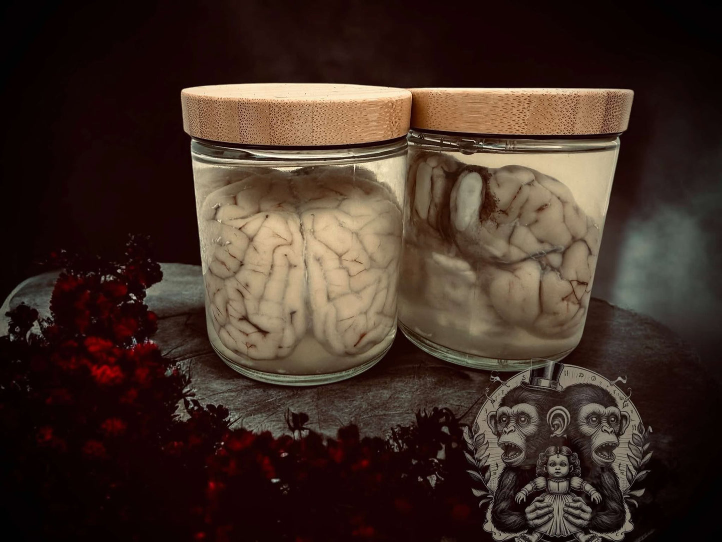 Sheep Brain Jar Wet Specimen Unique Gift Idea Witchcraft Occult Oddity Apothecary Bottle Real Glass Vial Taxidermy Curiosity