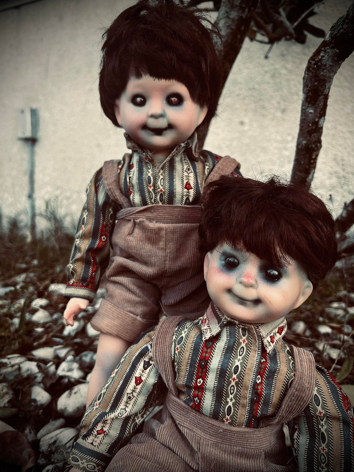 Meet Ryan & Robin 15" Twin Spirit Porcelain Baby Doll Haunted Vessels Infected Scary Spooky Zombie Possessed Gothic Positive Energy Haunt