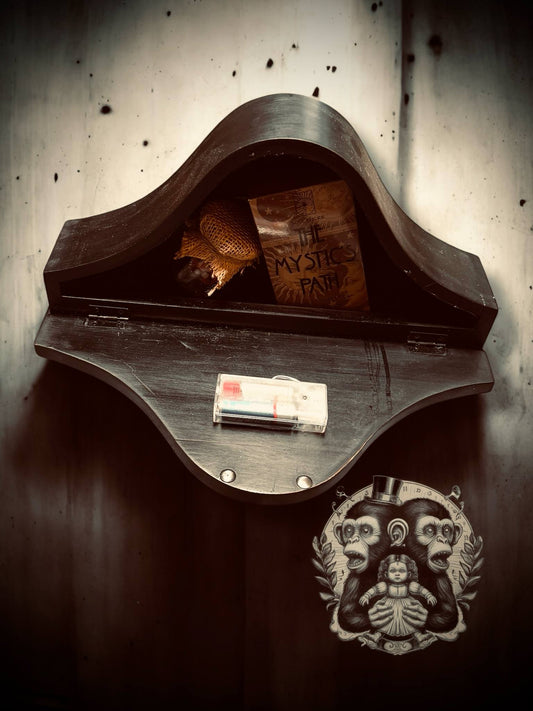 Ghost Cicada Ayuthia Real Insect Bug Display Oddity Oddities, Occult, Curiosities Biology Specimen Collection, Gift Idea Hidden Compartment