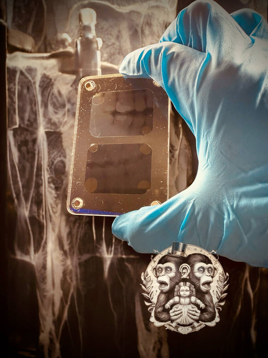 Dental X-Ray Magnet Specimen Curiosity, Oddity, Unique Gift Idea Fridge Magnets Medical Slides